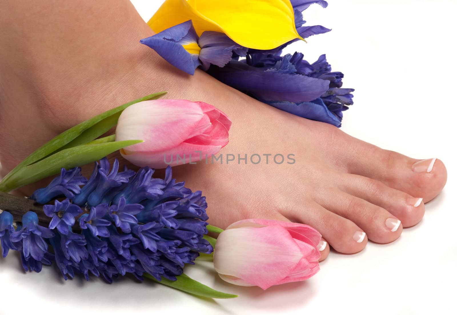 Pedicured feet, manicured hands and aromatic flowers in a spa