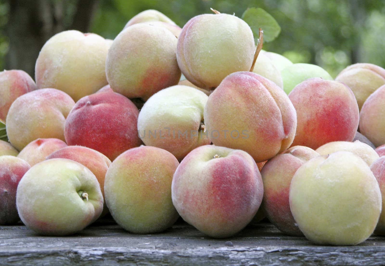 fresh aromatic peaches built on old wooden table