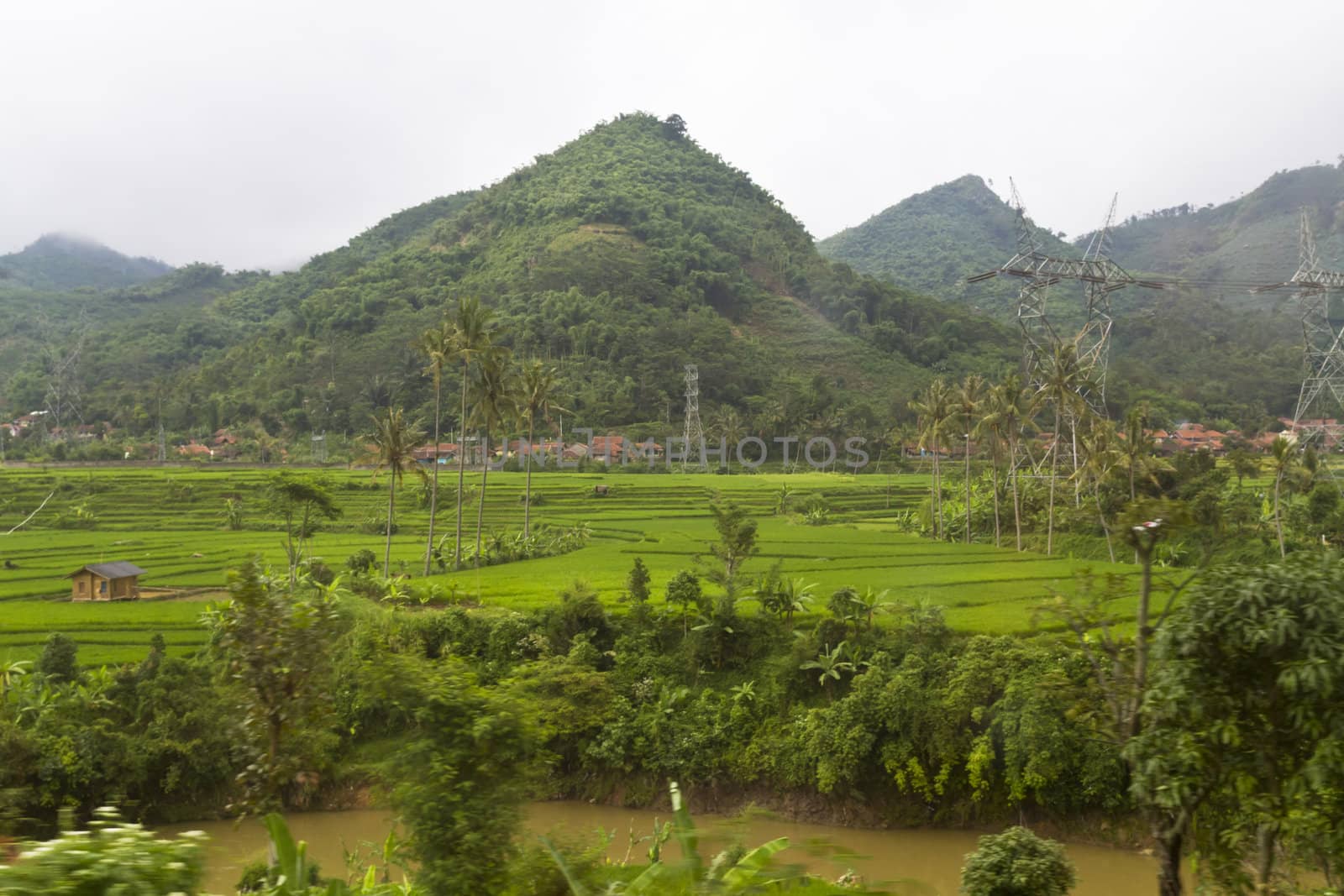 view of paddy field terrace by the mountain side with electric pileon in Bandung, West Jawa
