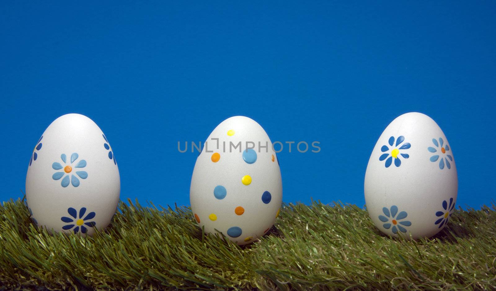 eggs on green grass  by compuinfoto