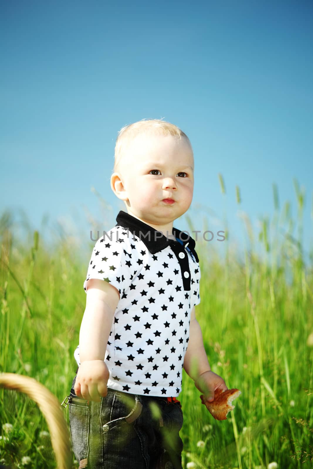  picnic on green grass boy and basket