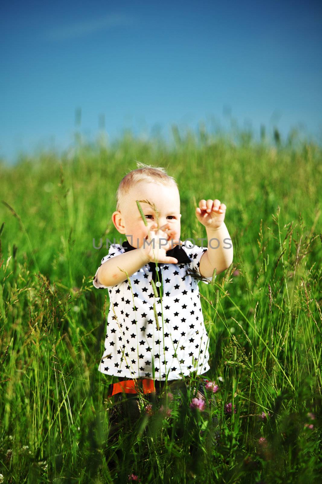 little boy play in green grass