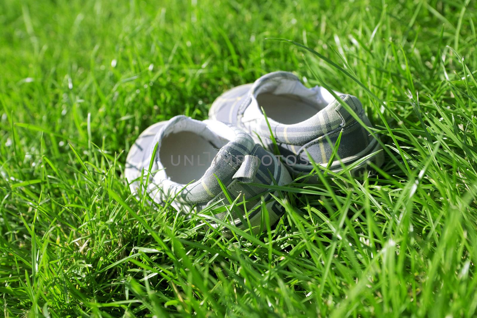 child's shoe for leisure in a green summer grass