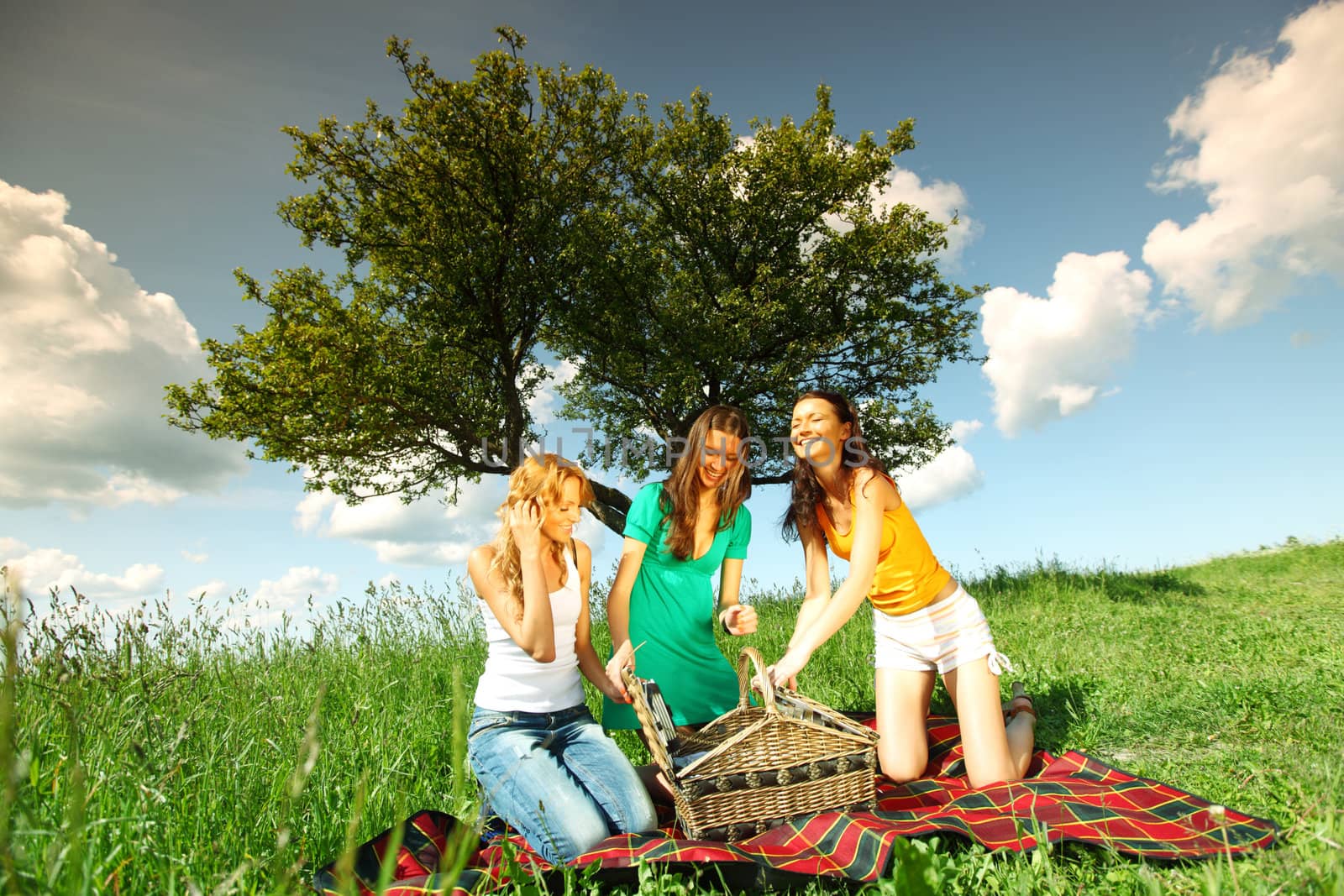 girlfriends on picnic in green grass