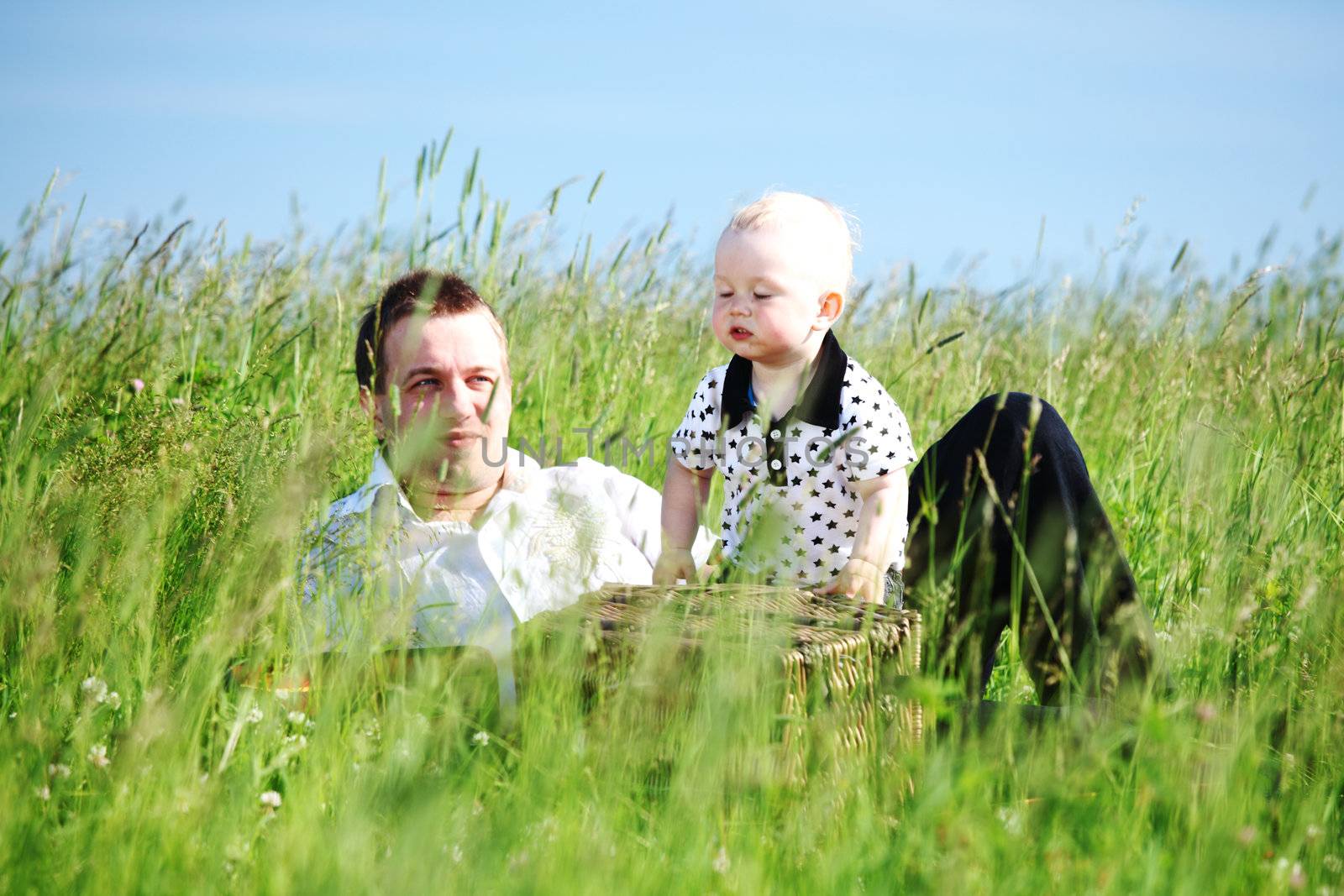  happy family on picnic in green grass