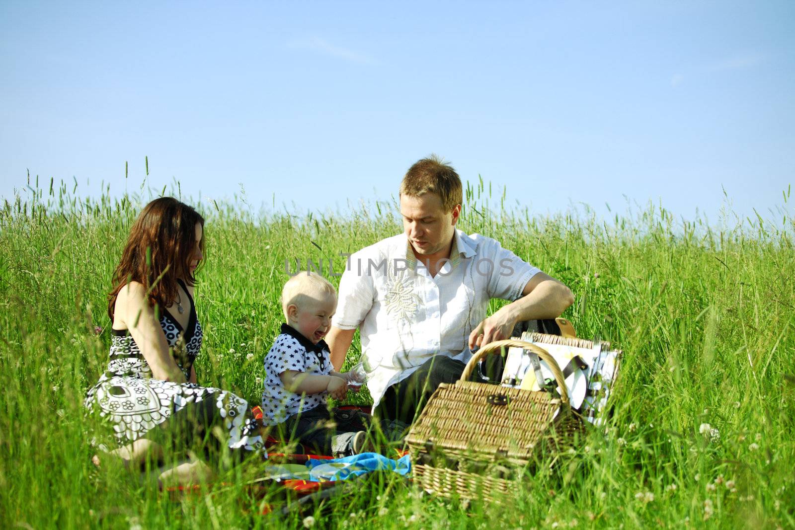  happy family on picnic in green grass