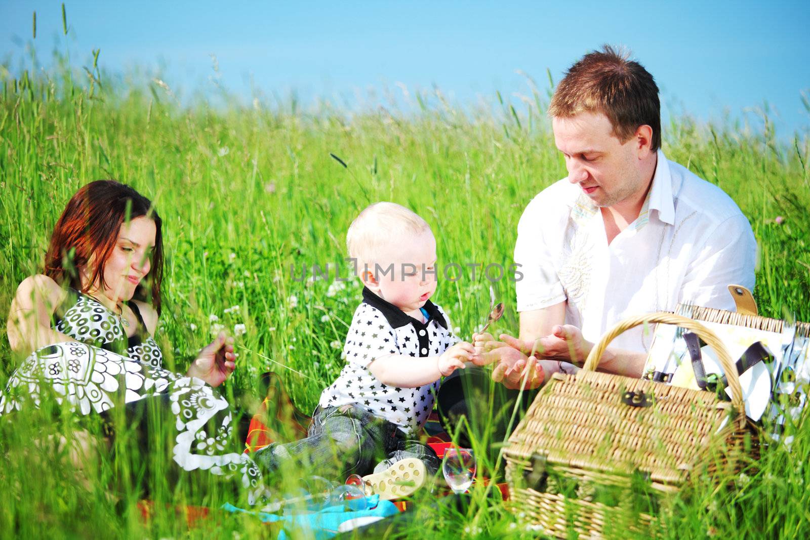  happy family on picnic in green grass