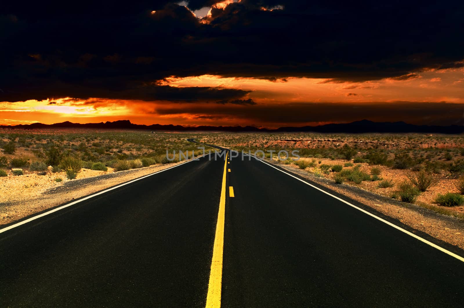Road in Nevada desert during sunset