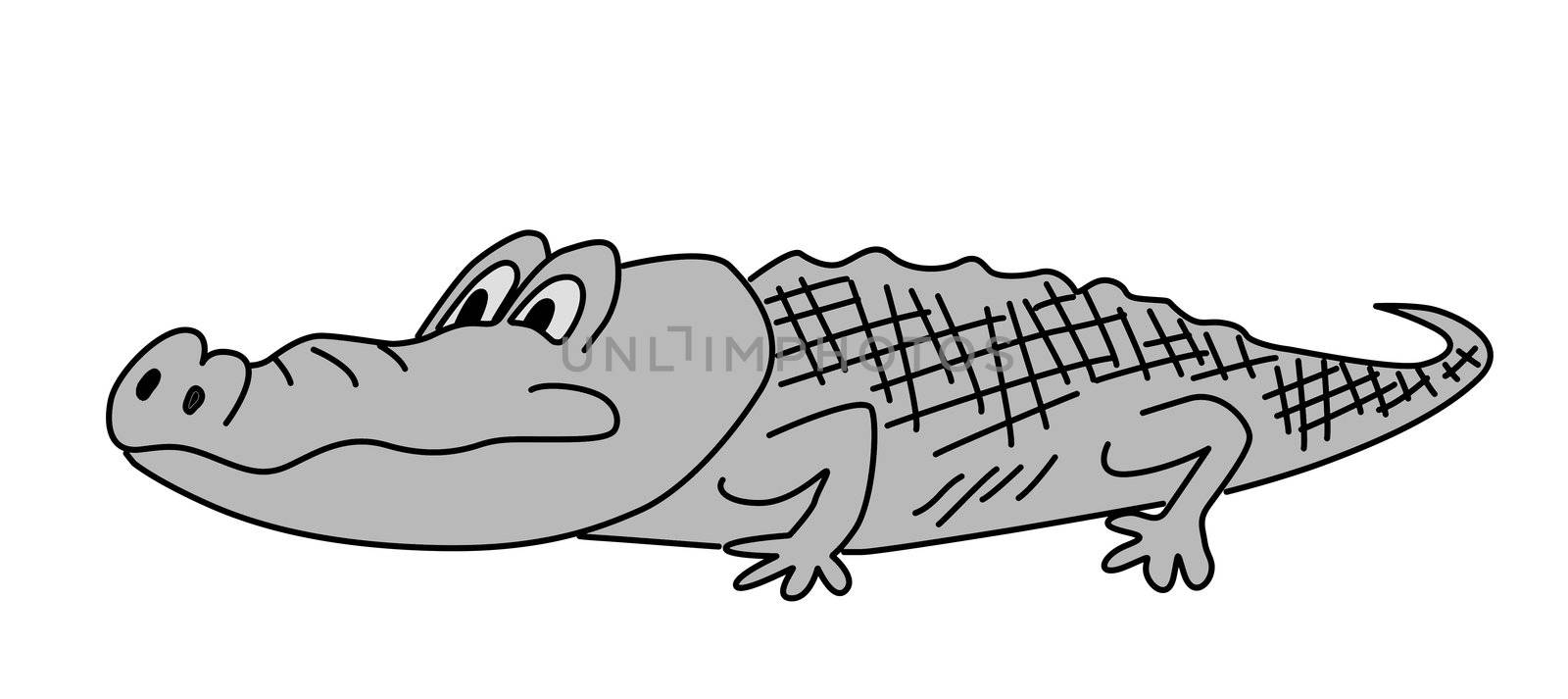gray crocodile on white background by basel101658