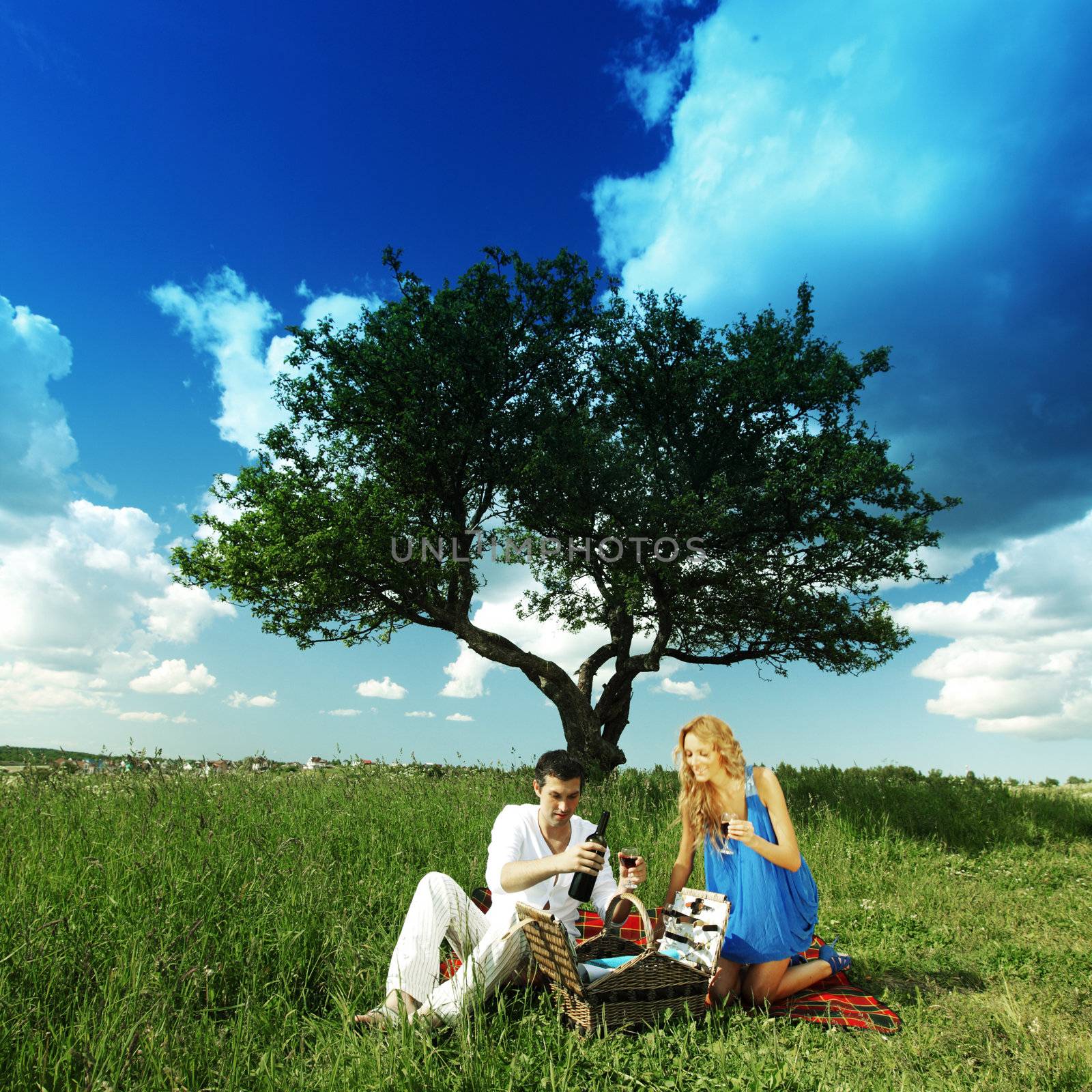 man and woman on picnic in green grass