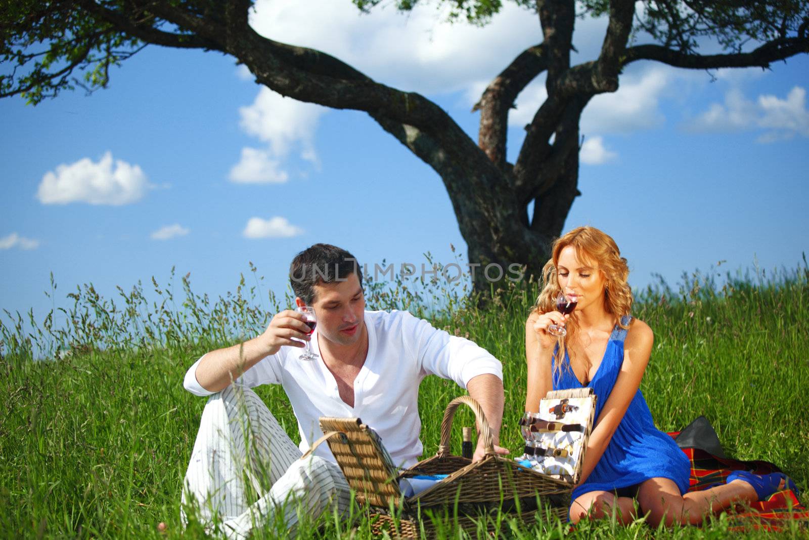 man and woman on picnic in green grass
