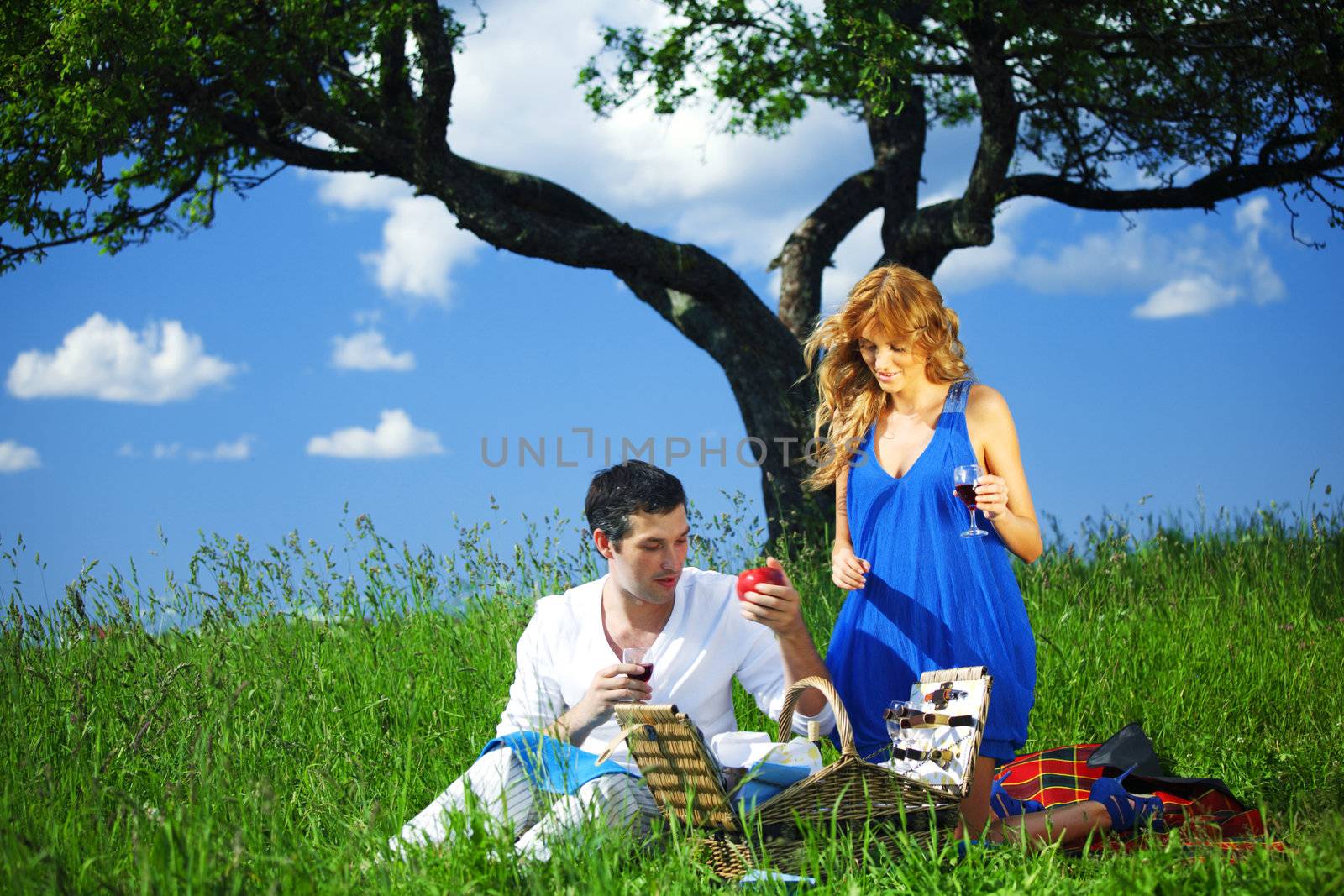 man and woman on picnic in green grass