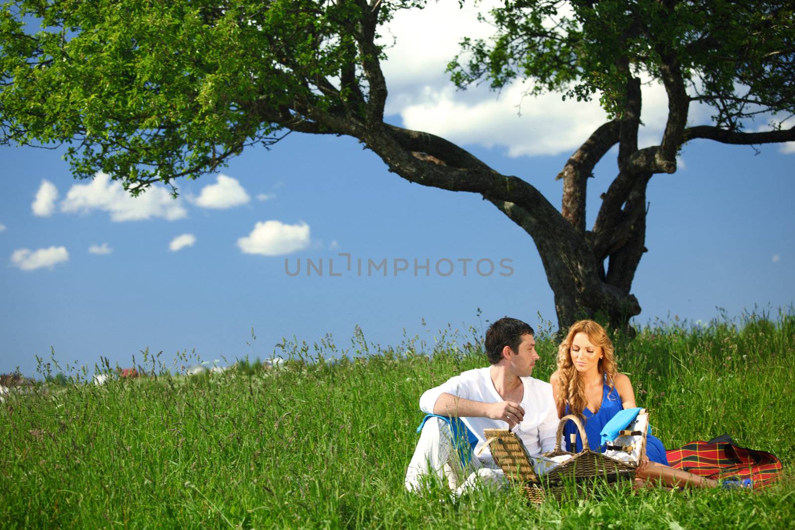 man and woman on picnic in green grass
