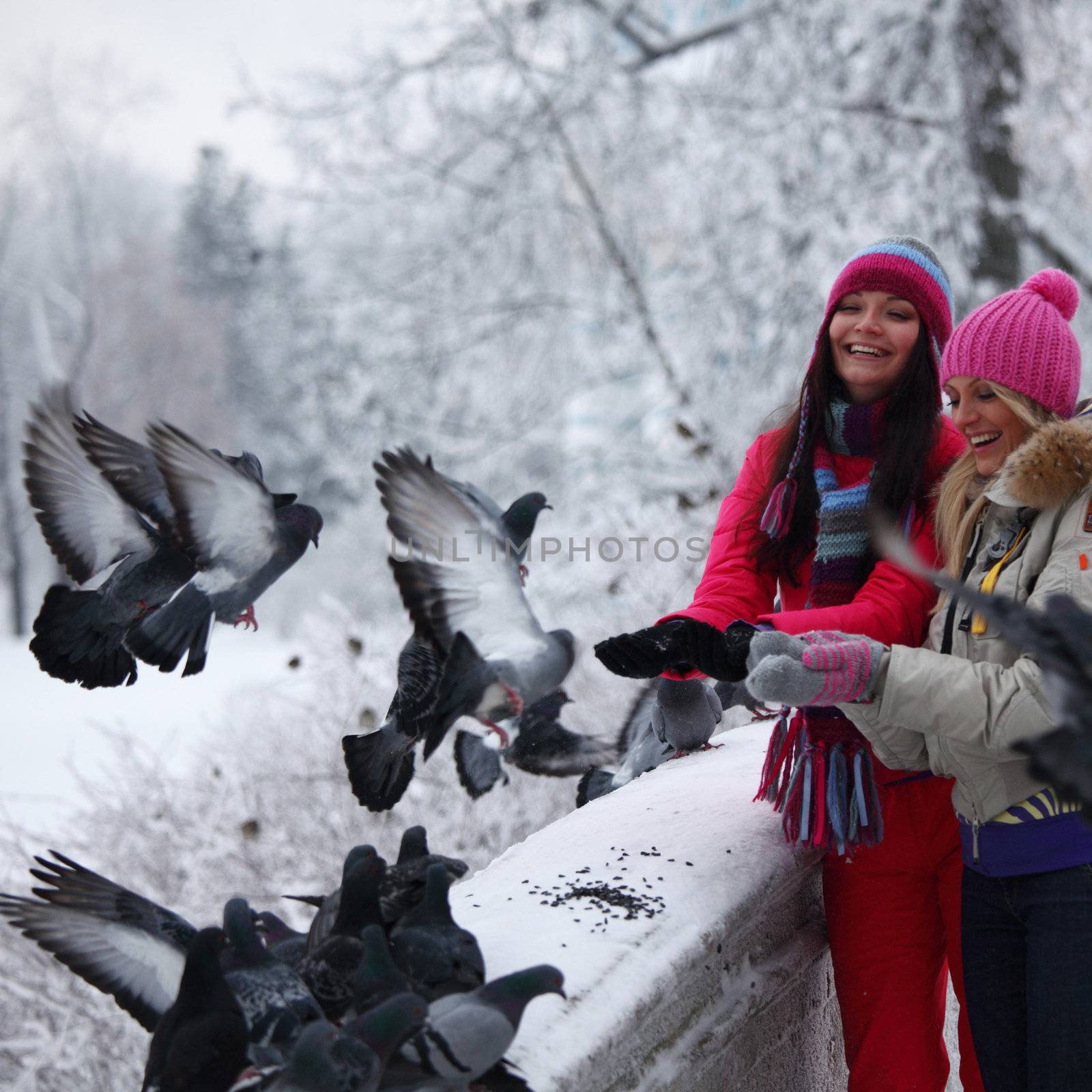 winter women give food to the pigeon