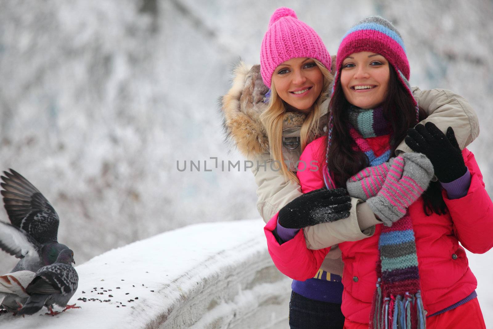winter women give food to the pigeon