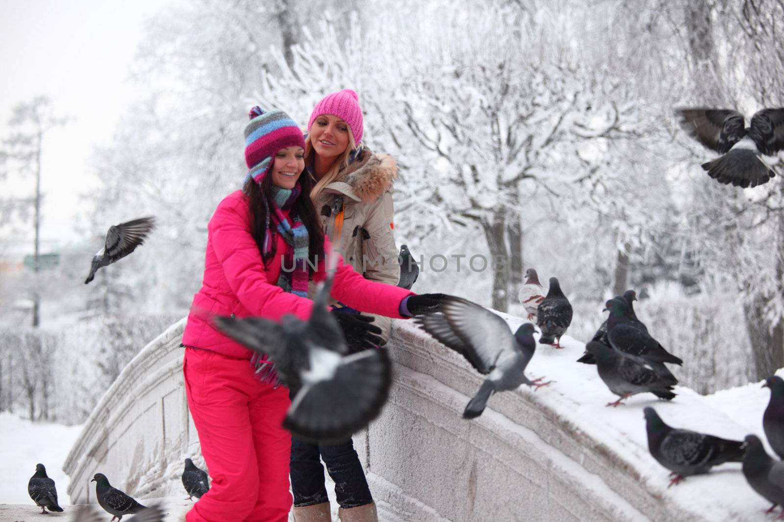 winter women give food to the pigeon
