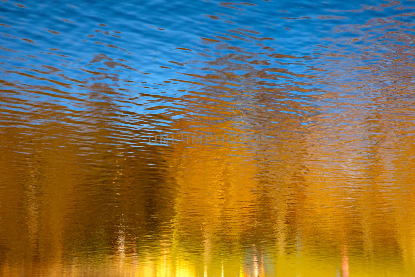 Sunny Landscape Tree Water Reflection Background Abstract
