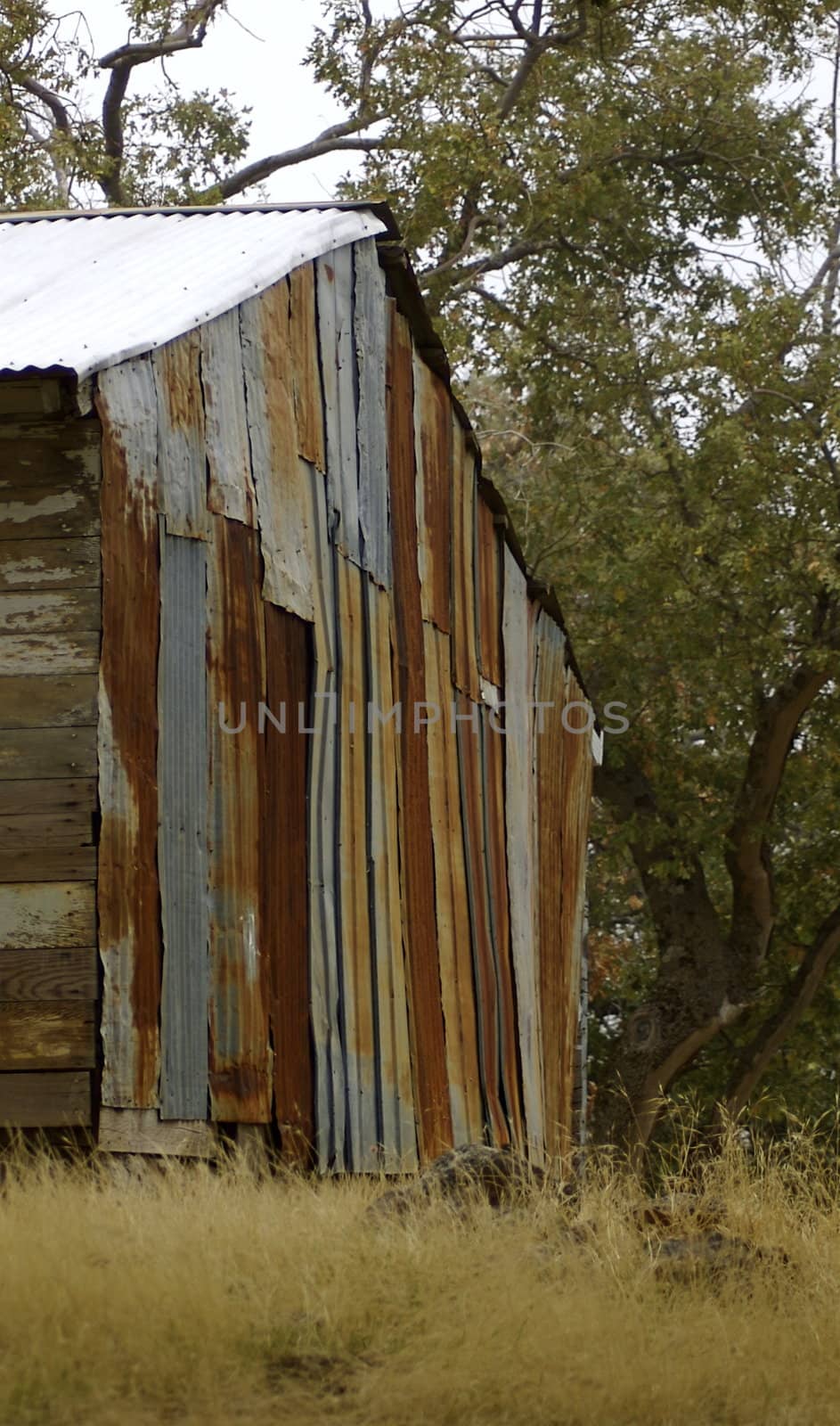 Rusty Corrugated Iron Shack by PrincessToula