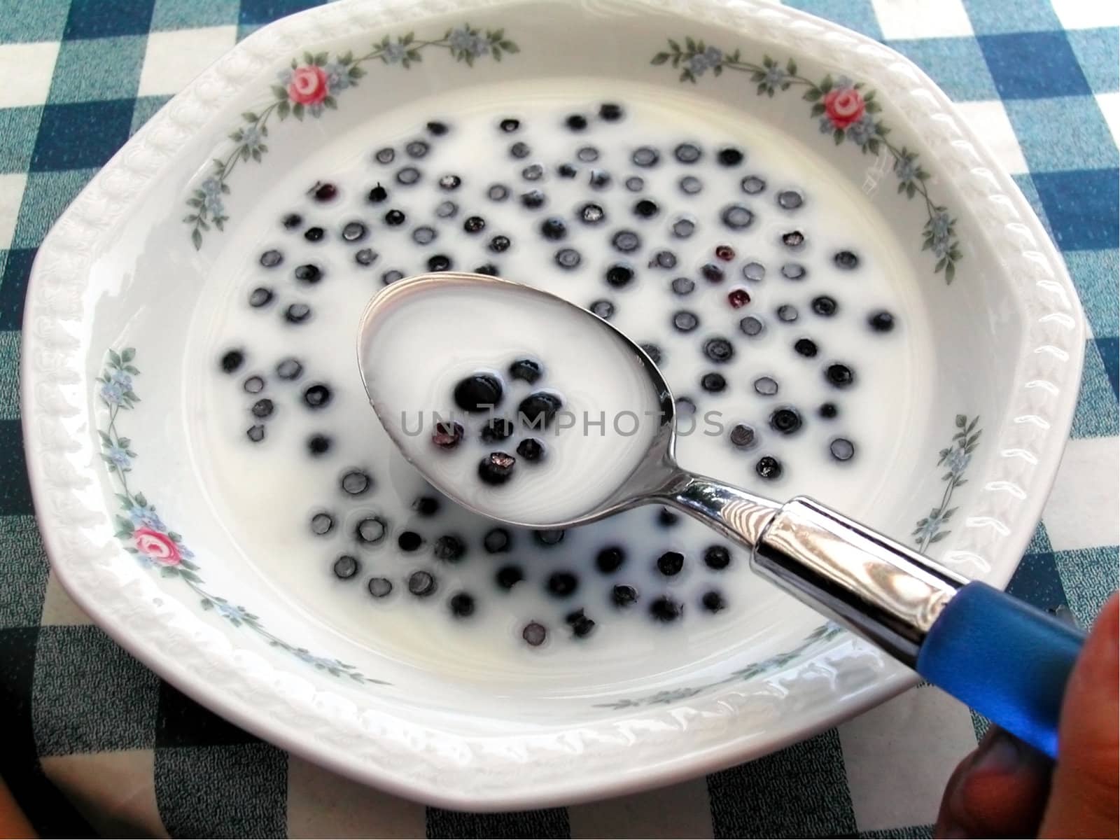 Blueberries and milk with sugar by kekanger