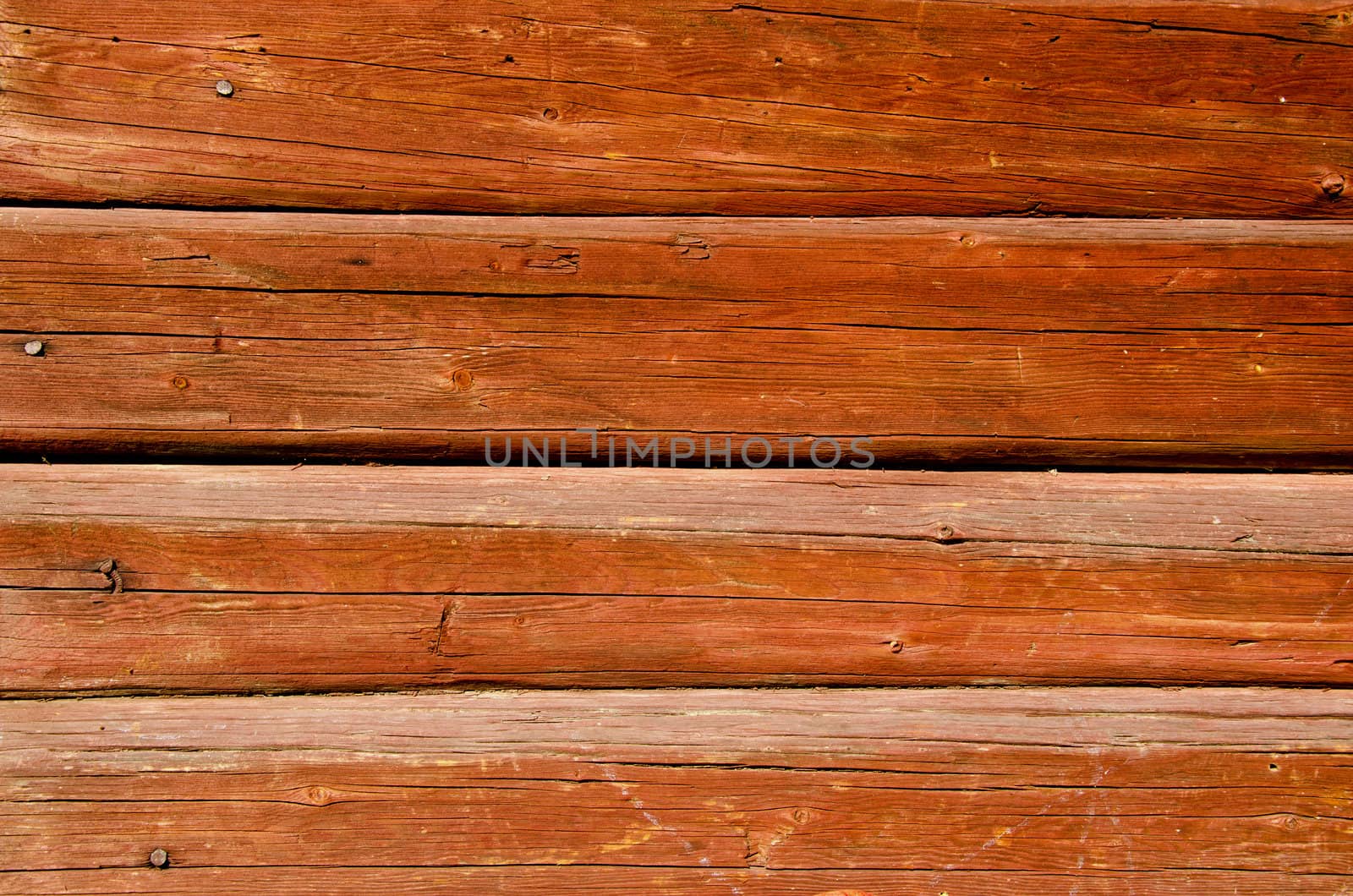 Background of ancient shaved painted wooden log wall and rusty nail heads.