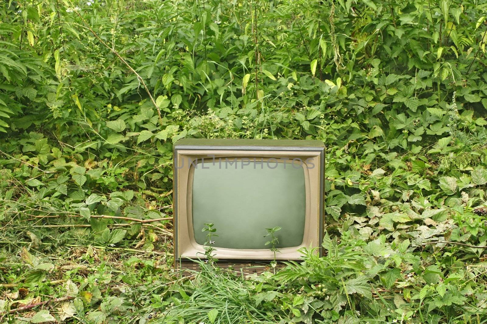 Old TV set among green plants by qiiip