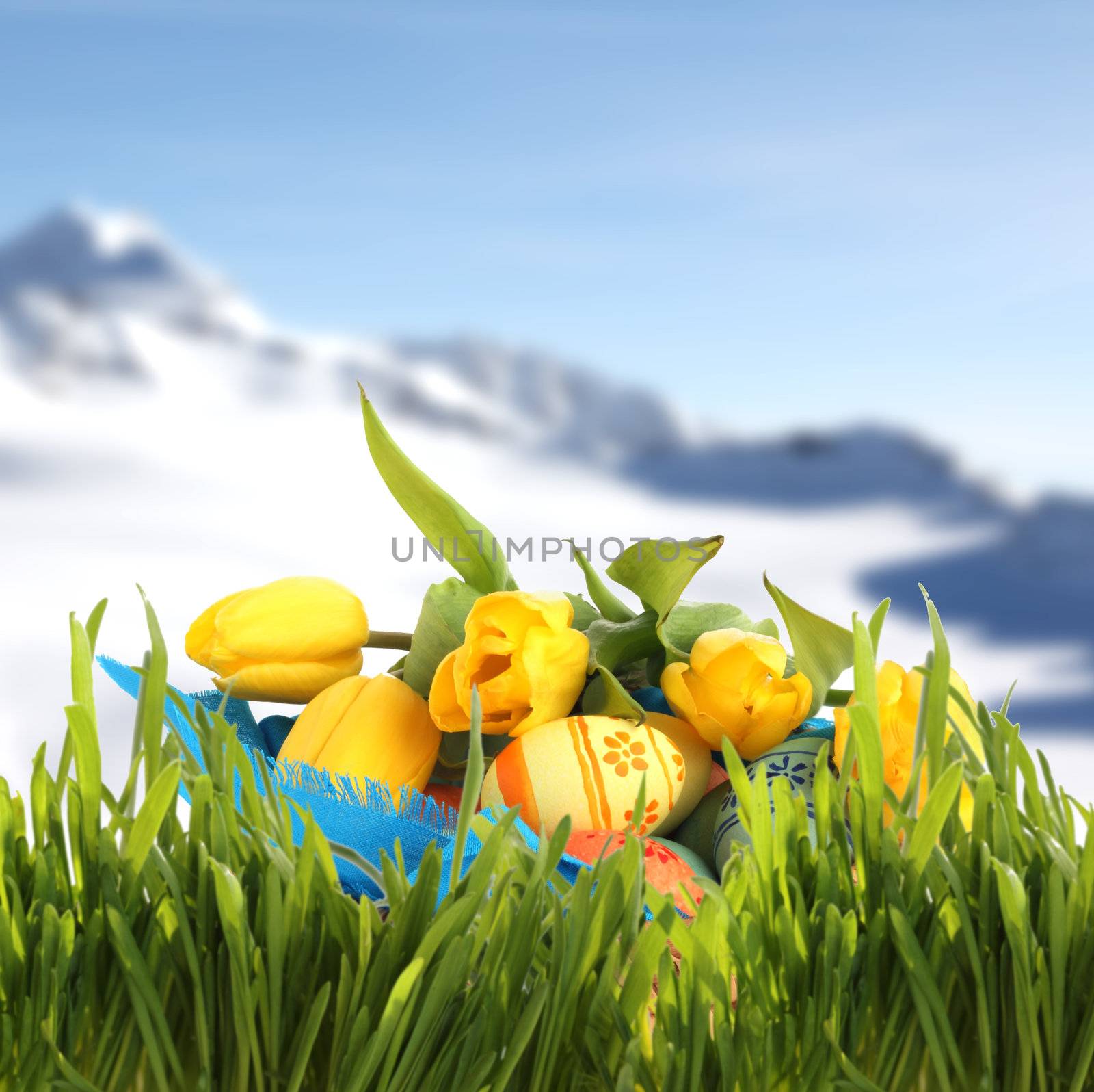 Easter basket with colored eggs and yellow tulips in spring mountains