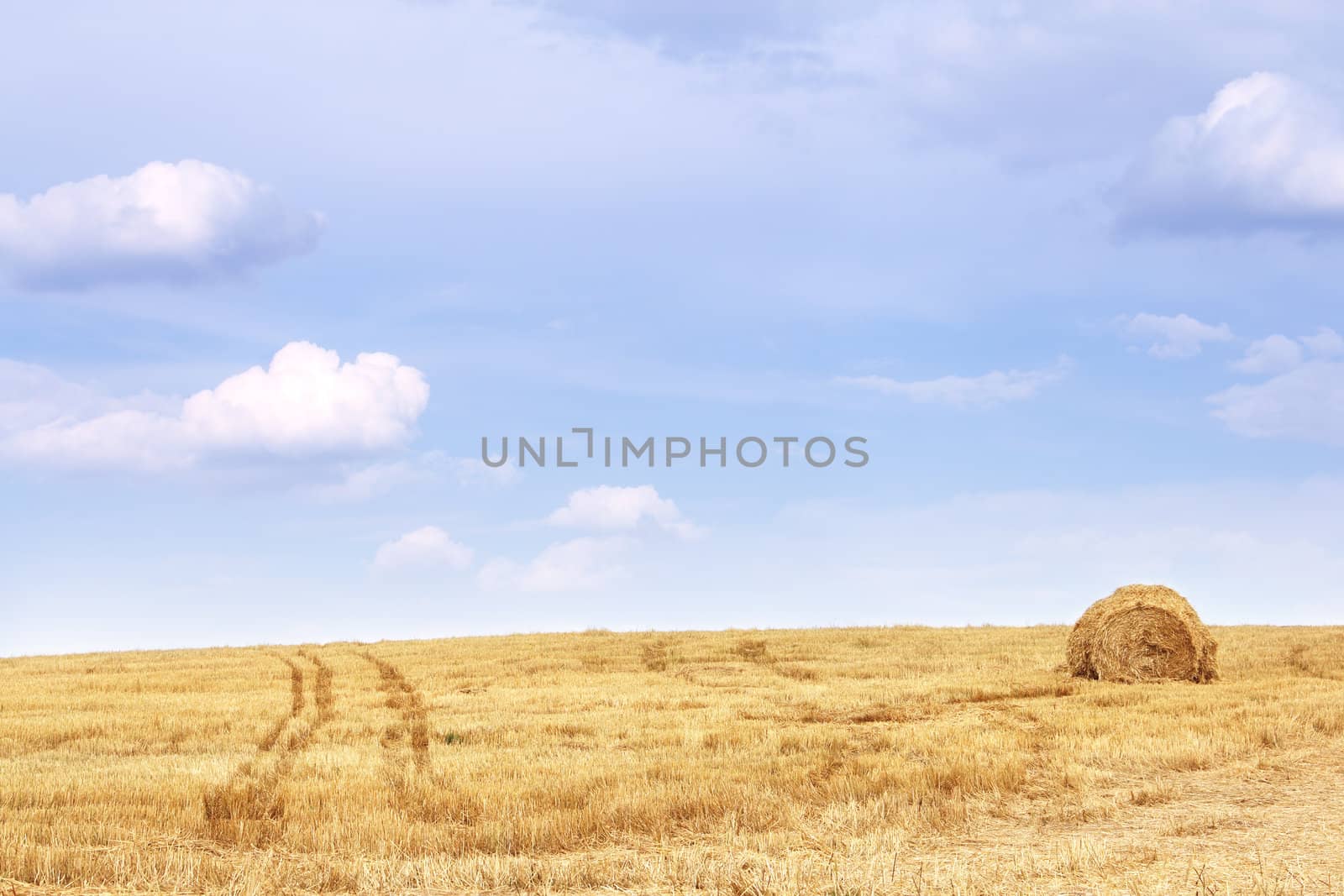 Haystacks in wheat field after harvest under blue cloudy sky