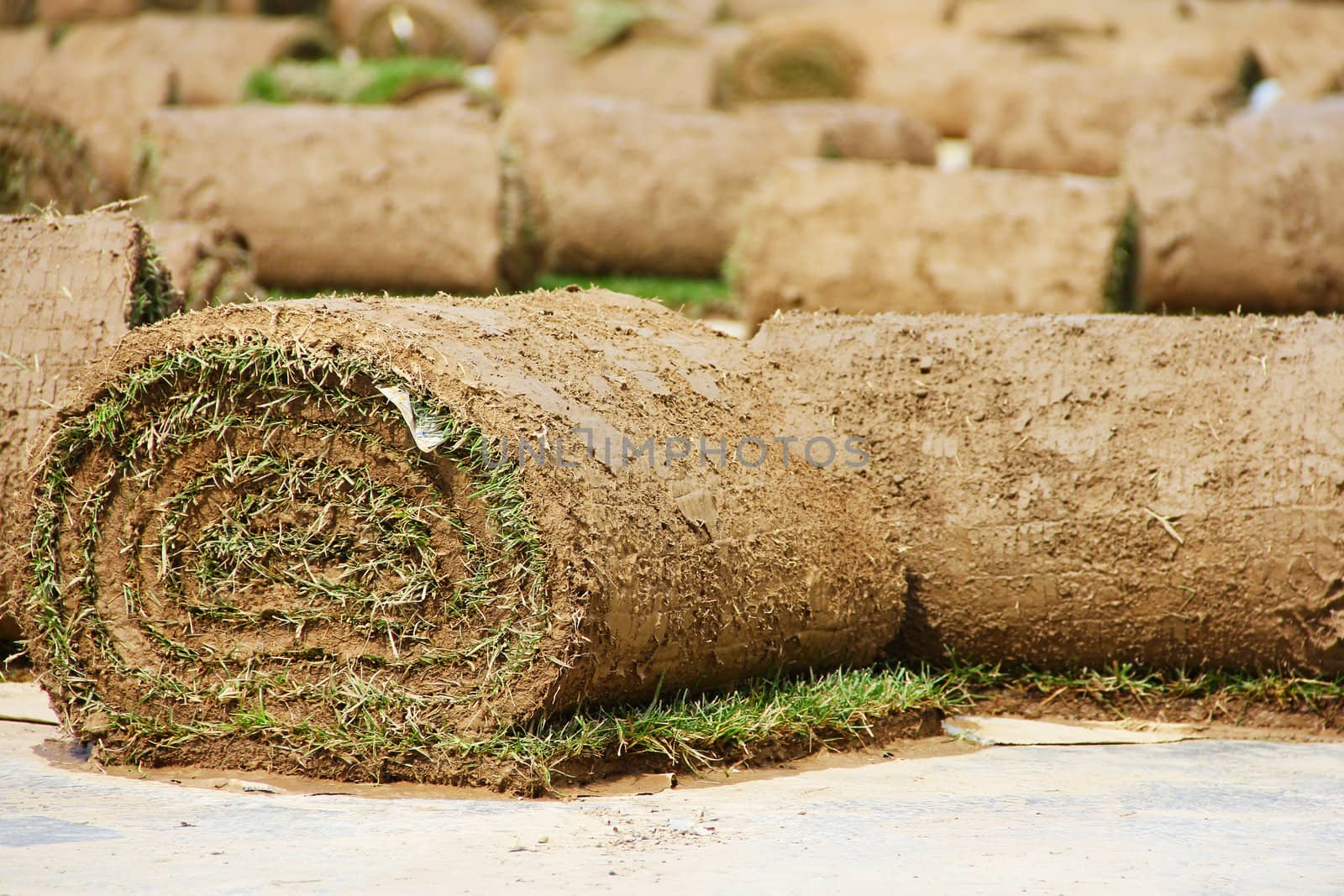 Turf grass rolls partially unrolled close up