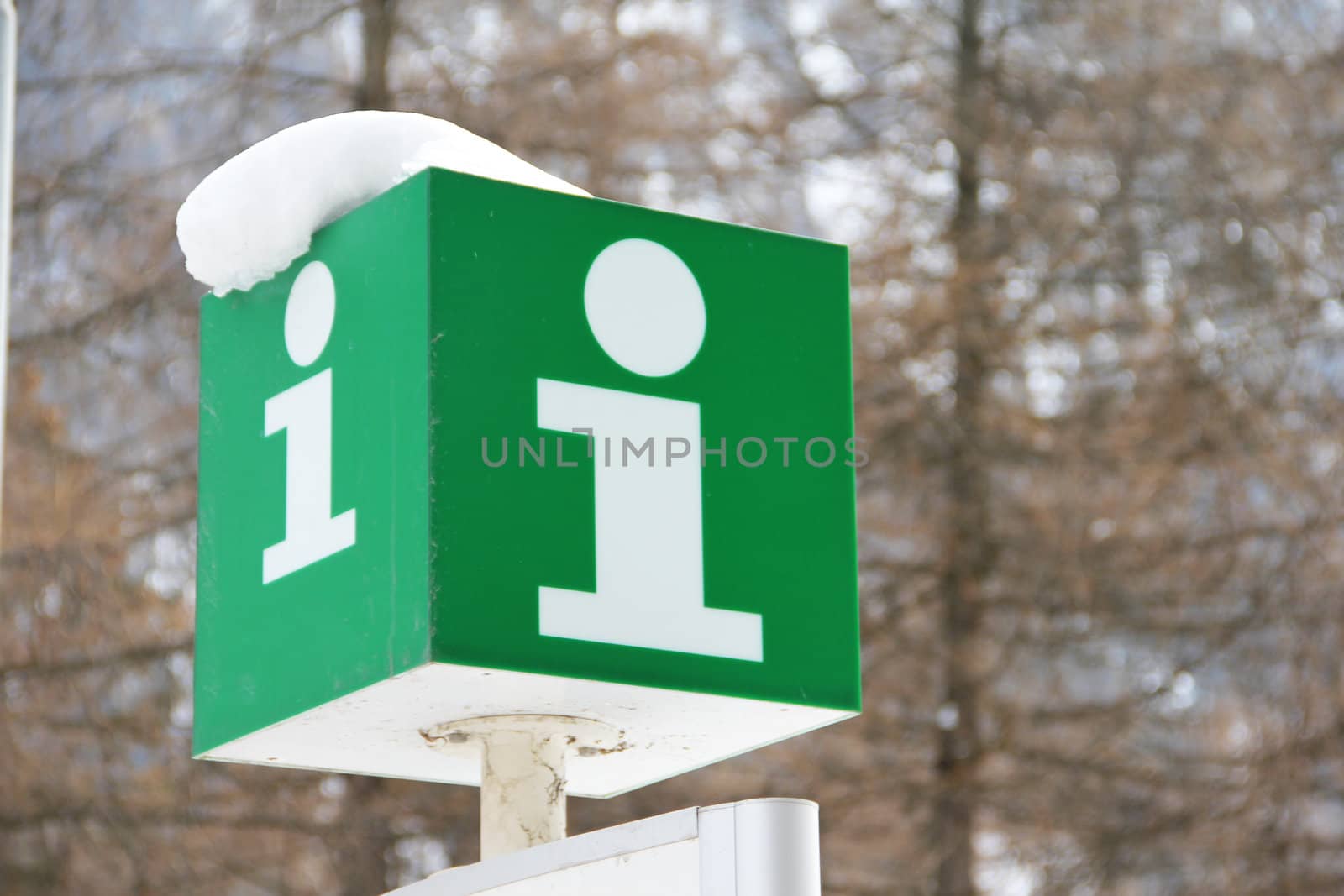 Green Information sign in winter forest close-up