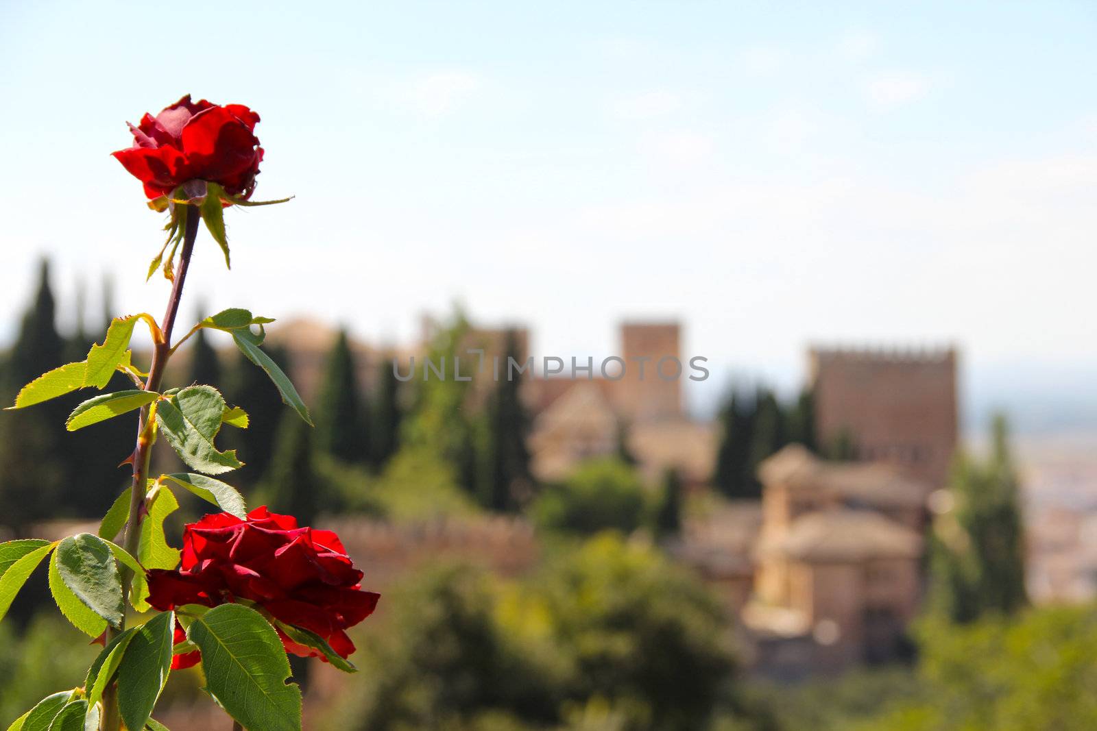 Panorama of Alhambra by destillat