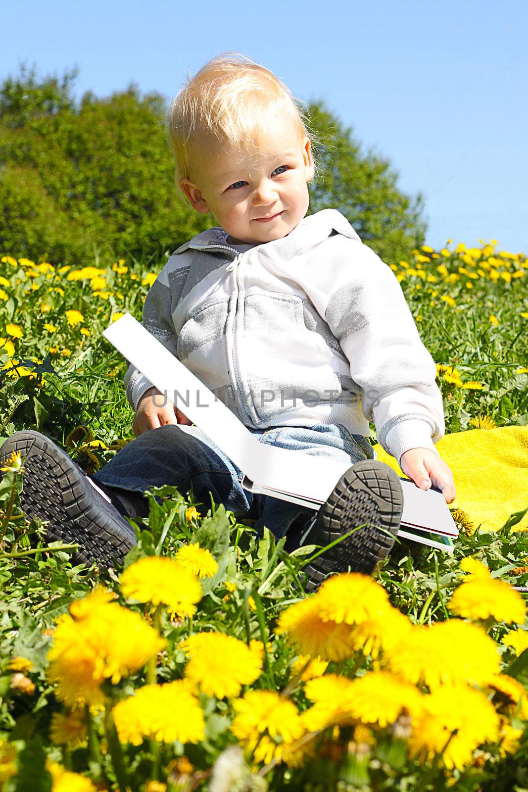 small child reading a book in flower field