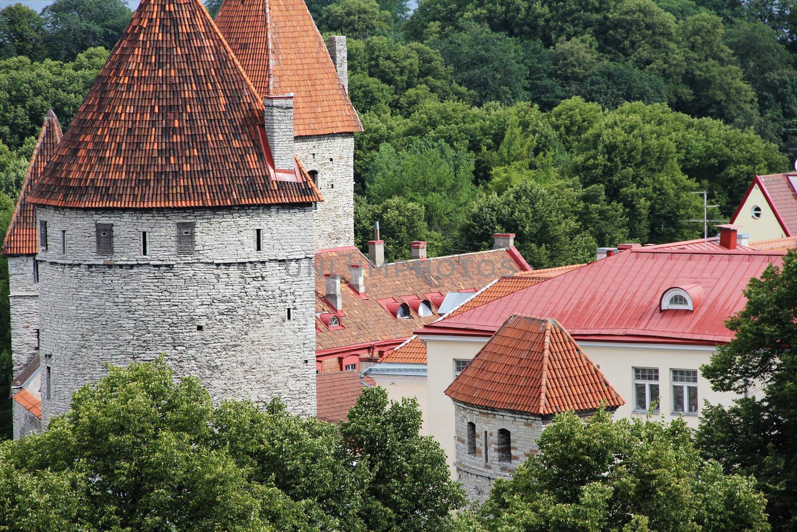 Towers of Tallinn by destillat