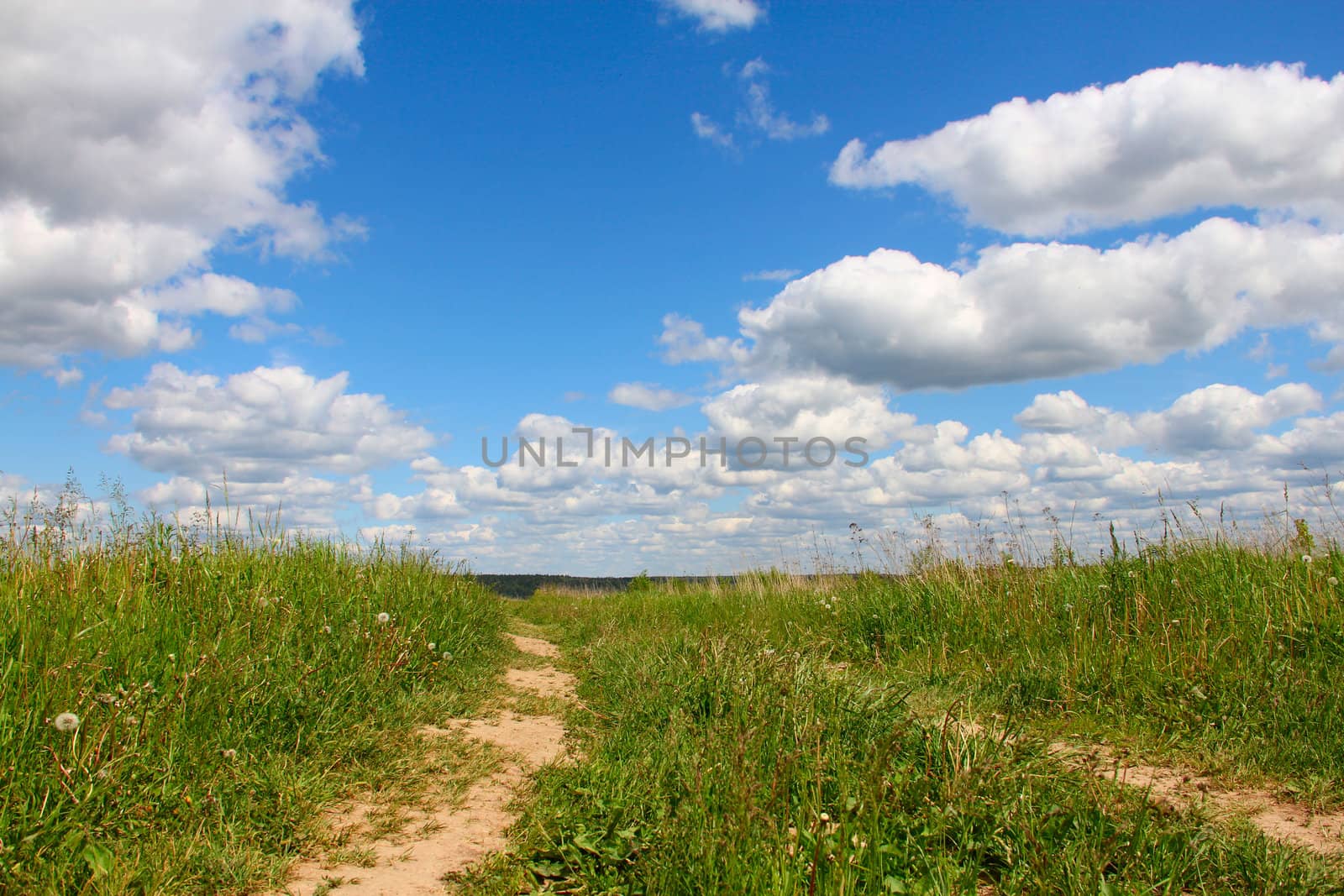 Road in grass field under cloudy blue sky