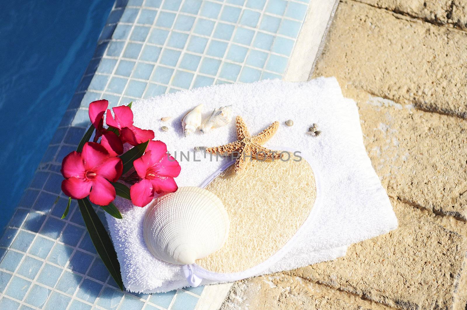 massage oil, shellfish and white towel beside a pool