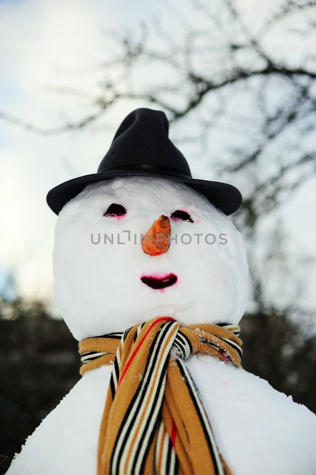 Snowman in hat by velkol
