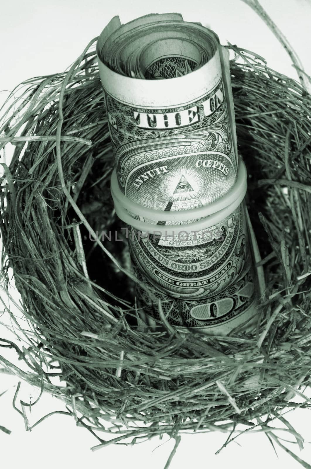 An image of roll of dollars in nest. Monochrome.