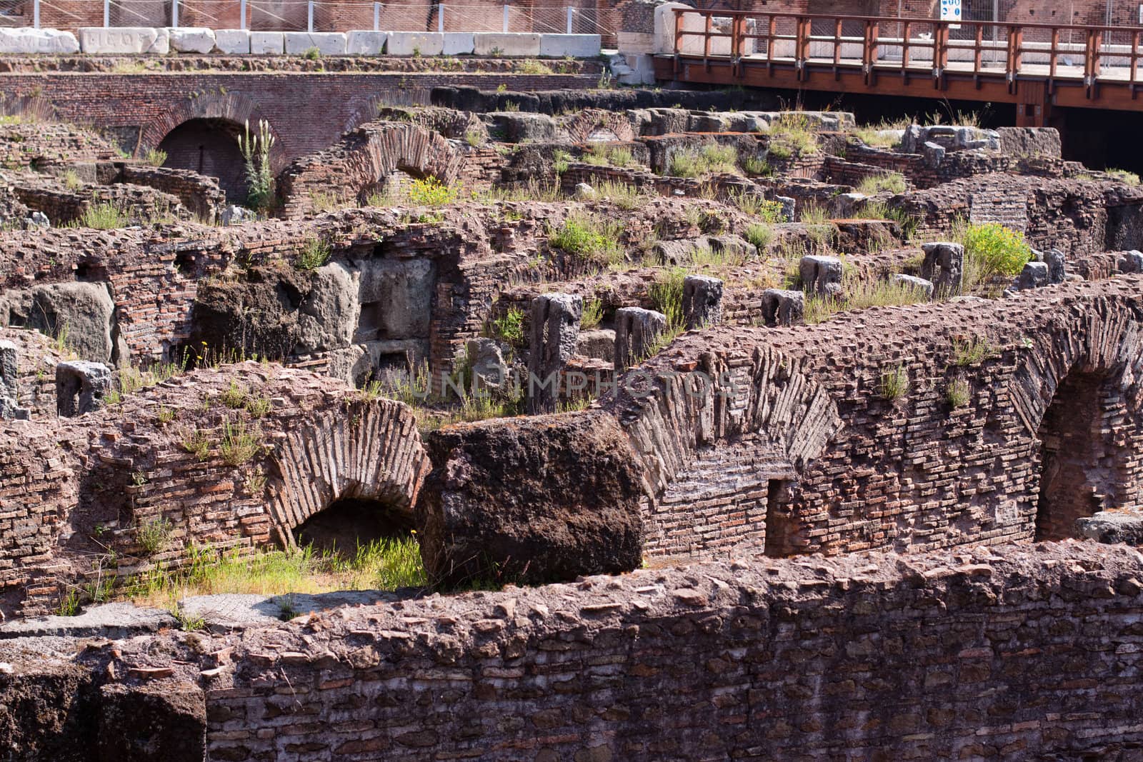 A Coloseum ruins and green grass
