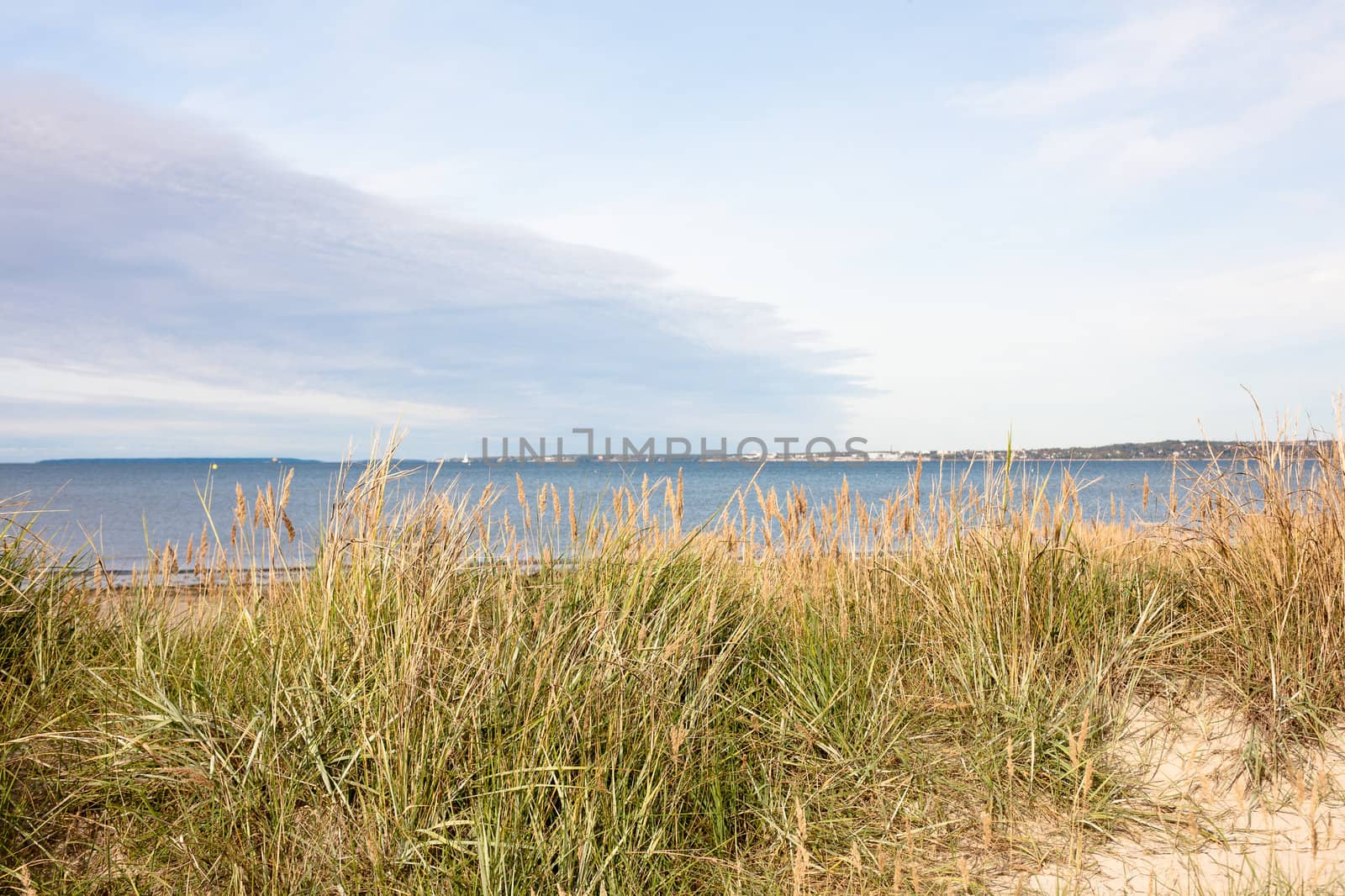 A embankment view with green grass
