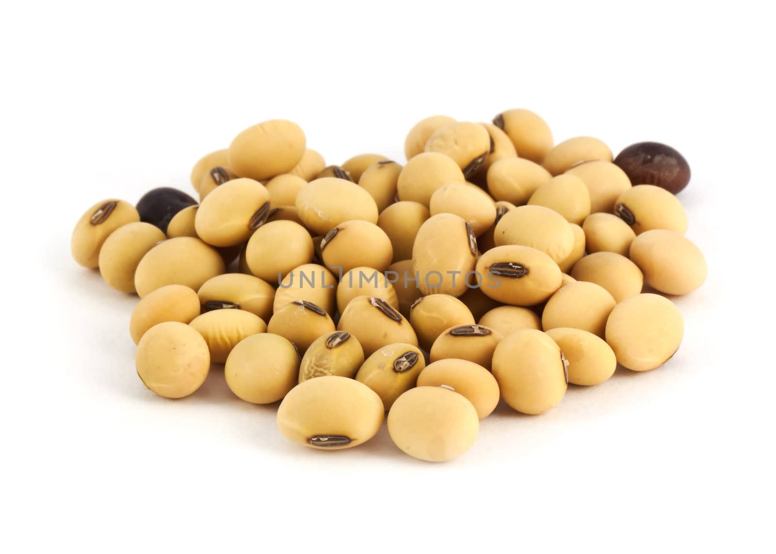 Dry soy isolated on white background