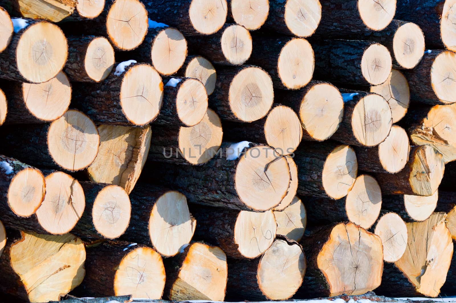 Large pile of cut wooden logs for renewable energy.