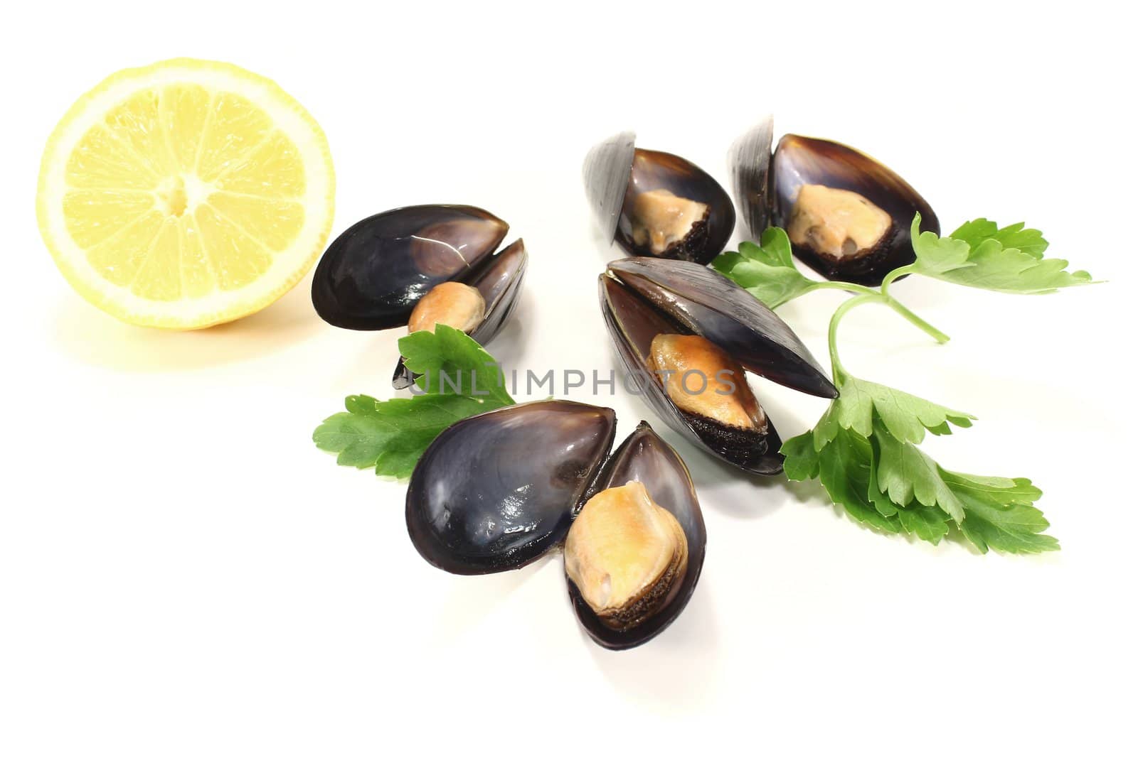 Mussels with parsley and lemon on a white background