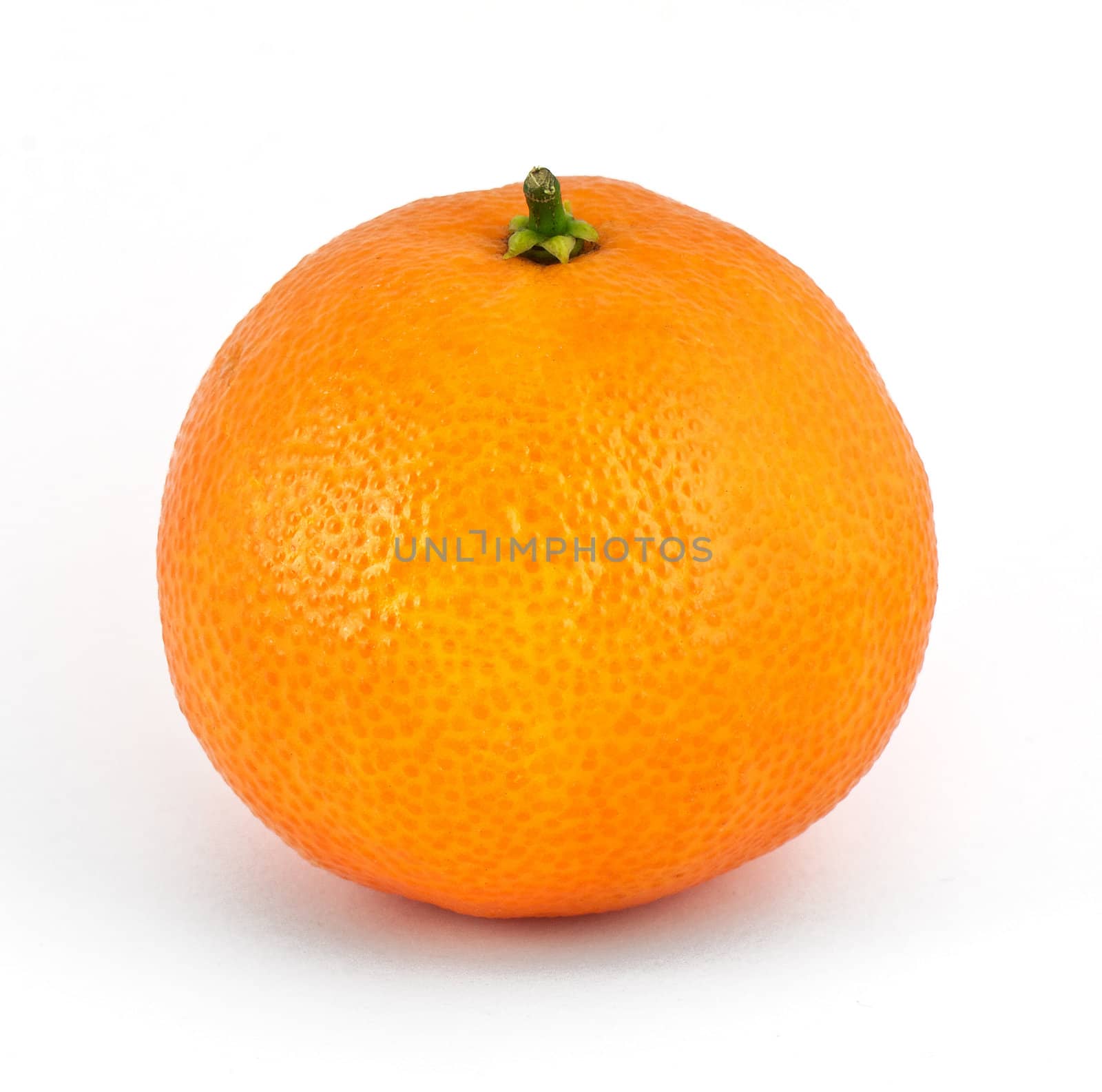 Mandarin fruit by vtorous