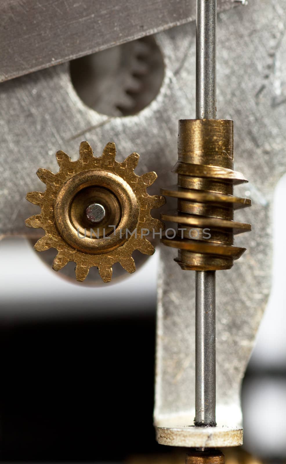 Macro view of gears of machine part