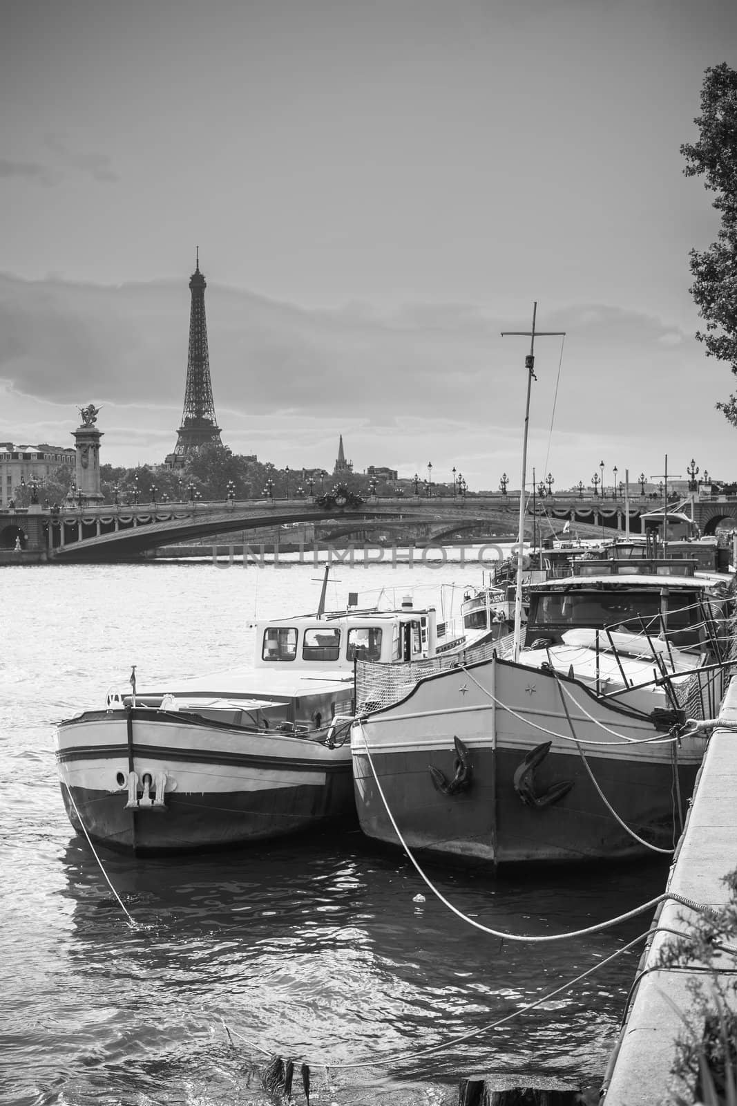 Living barge on the Seine in Paris with Eiffel tower background. France