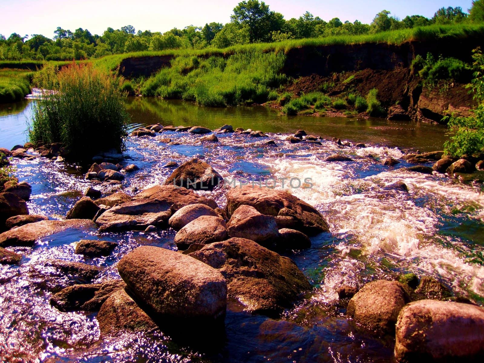 A small rocky river containing small rapids before a waterfall.