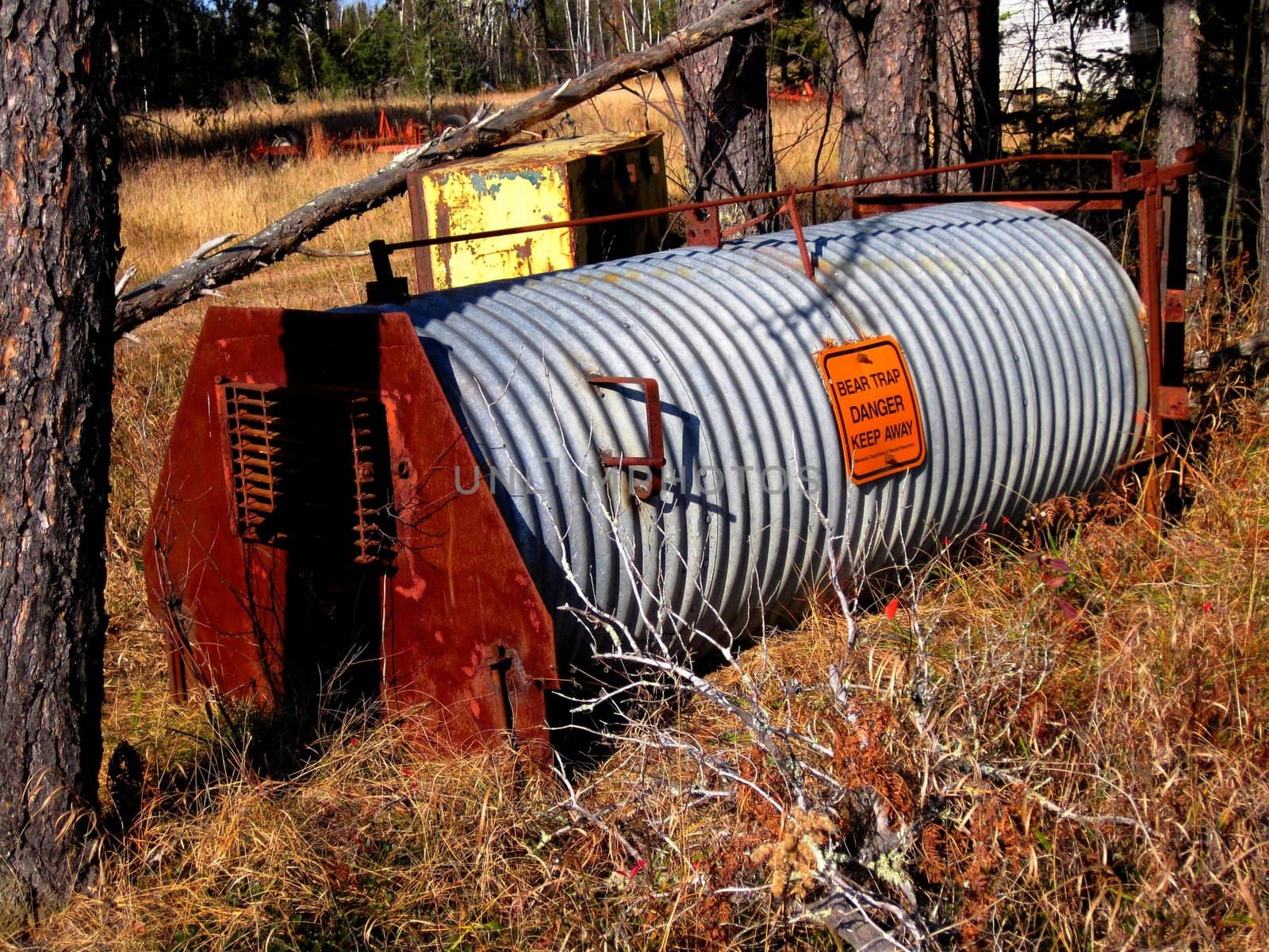 A steel barrel bear trap out in the forest.