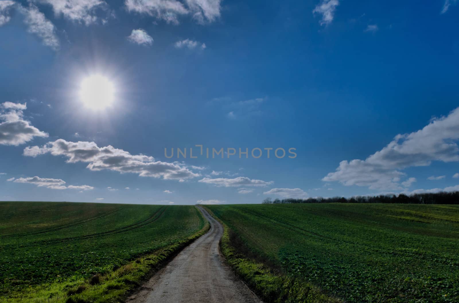 Narrow country lane winding between fields with a bright blue sky.
Kent  UK