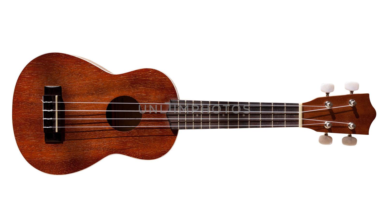 Modern hawaii ukulele guitar isolated against white with four strings