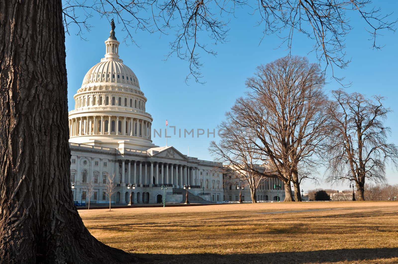 Capital Hill in Winter