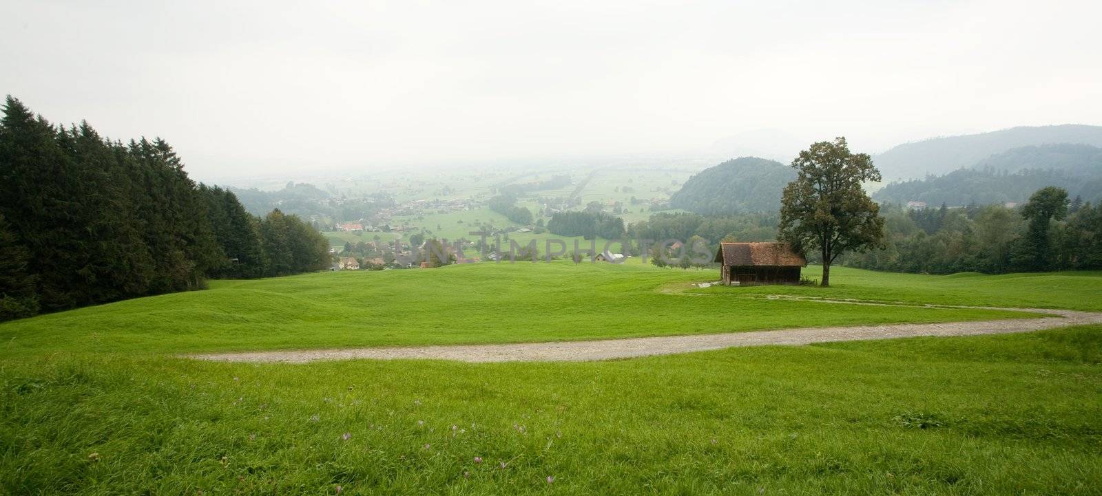 An image of a green plain and a house